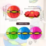 The Doggy Disc Ball - Image 10