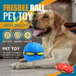 The Doggy Disc Ball