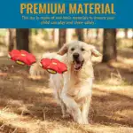 The Doggy Disc Ball - Image 4