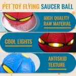 The Doggy Disc Ball - Image 7