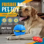 Pet Toy Flying Saucer Ball - Image 2