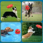 Pet Toy Flying Saucer Ball - Image 4